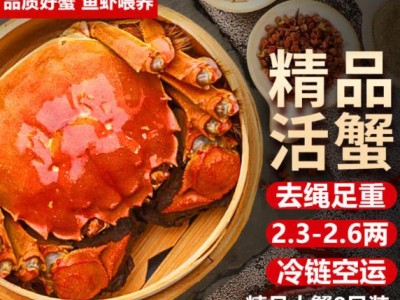 【活蟹】湖鲜阳澄 大闸蟹 去绳足重 2.3-2.6两 8只 鲜活六月黄现货超大螃蟹水产礼盒装图1