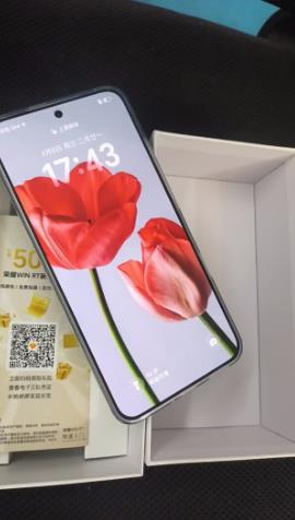荣耀WIN RT【张予曦同款】10000mAh青海湖电池 5G AI 新款游戏手机 12+256快开黑