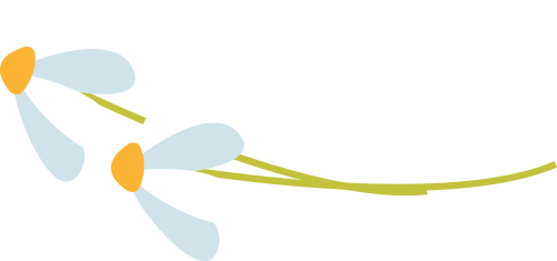 zLjYwEf85Fk95Twr.jpg