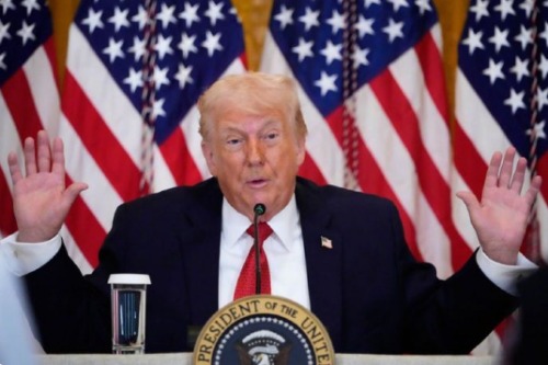 48d10d3fde232bcbd639c1cac9265890127efd53953d574a53cd52c489a99b05.0.JPEG